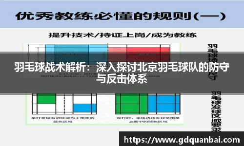 羽毛球战术解析：深入探讨北京羽毛球队的防守与反击体系
